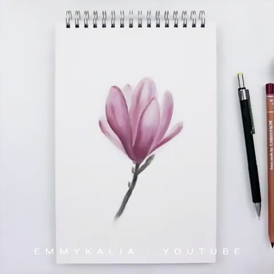 مدل های نقاشی گل با مداد رنگی